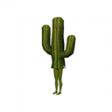 LittleBIGPlanet Cactus